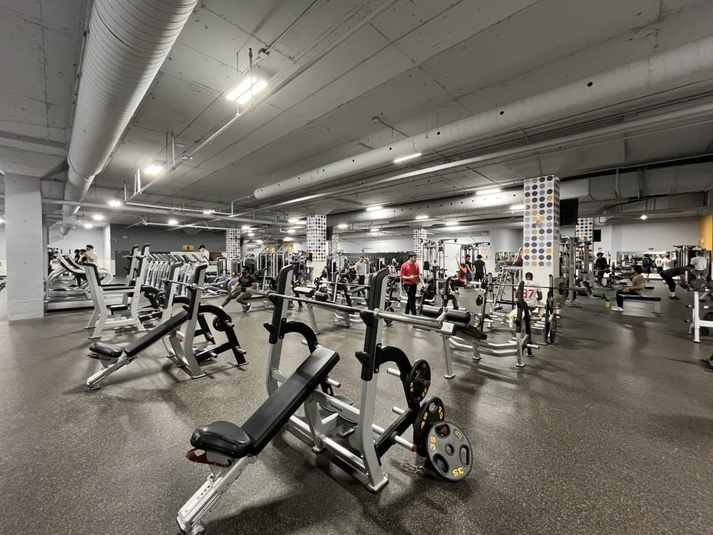 Éconofitness Montréal - Rosemont - La Petite Patrie (Beaubien) 24