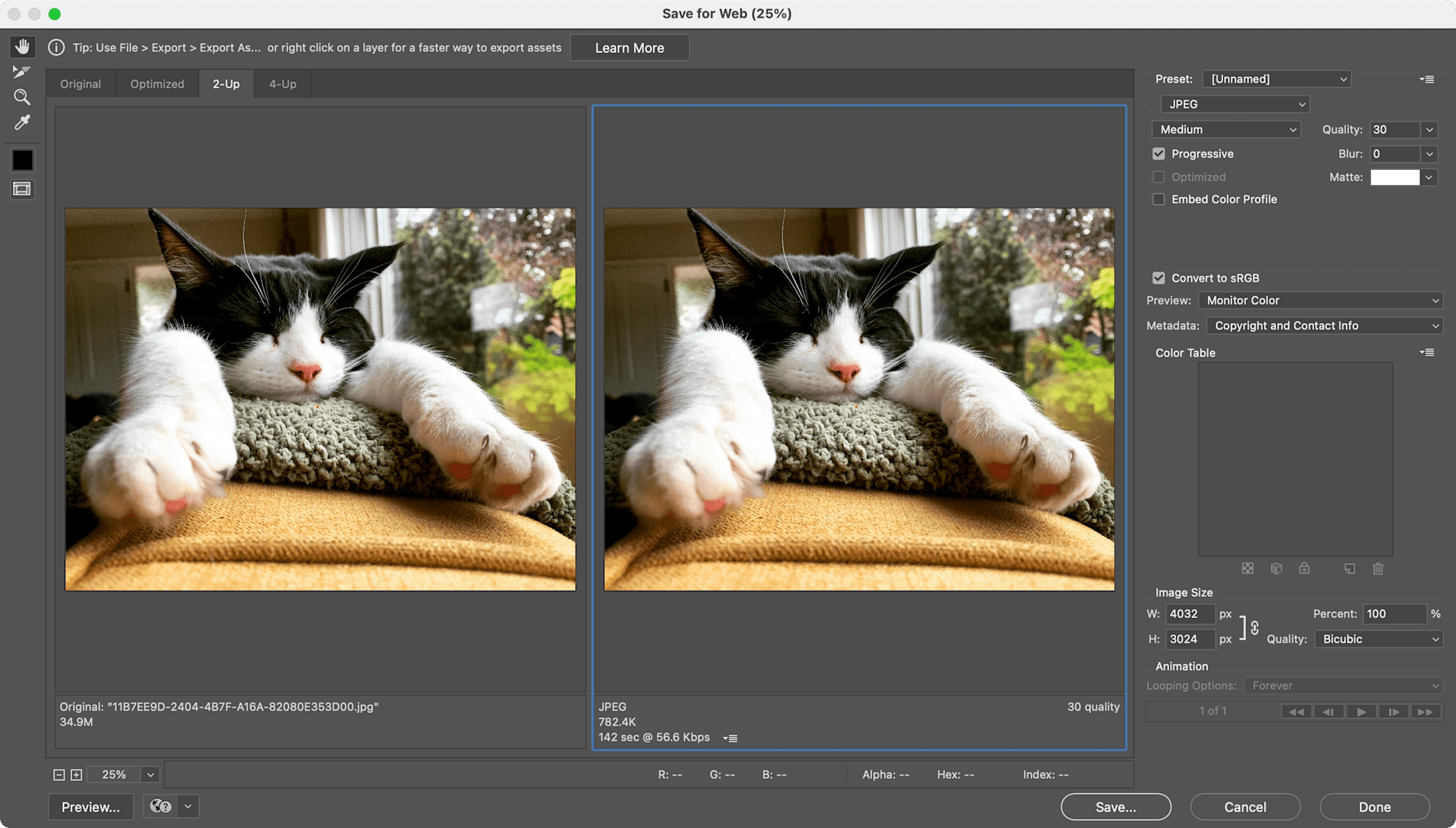 Screenshot of Photoshop’s Save for Web feature. The screenshot contains two side-by-side versions of the same photo for comparison. In the photo is an absurdly cute black and white cat sleeping on top of a green blanket on the back of a yellow sofa. The image on the right is a JPEG version saved at medium quality. Photoshop's interface shows the JPEG file will be 782.4k versus the original which is 34.9M.