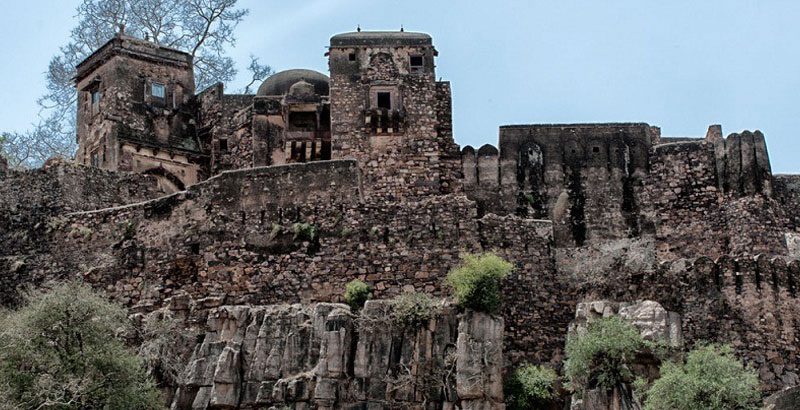 Taj, Temple and Tiger Trail