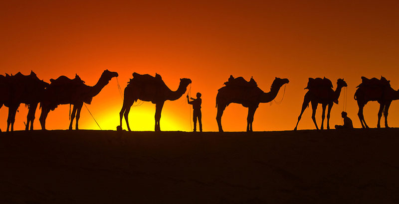 Explore Rajasthan