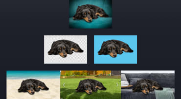 Automatic Background Image Rotation and Removal