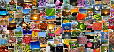 Creating a Collage Maker With Cloudinary