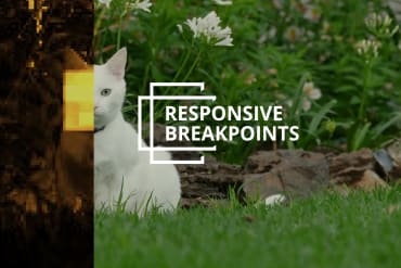 Using smart-cropping for automatic art direction