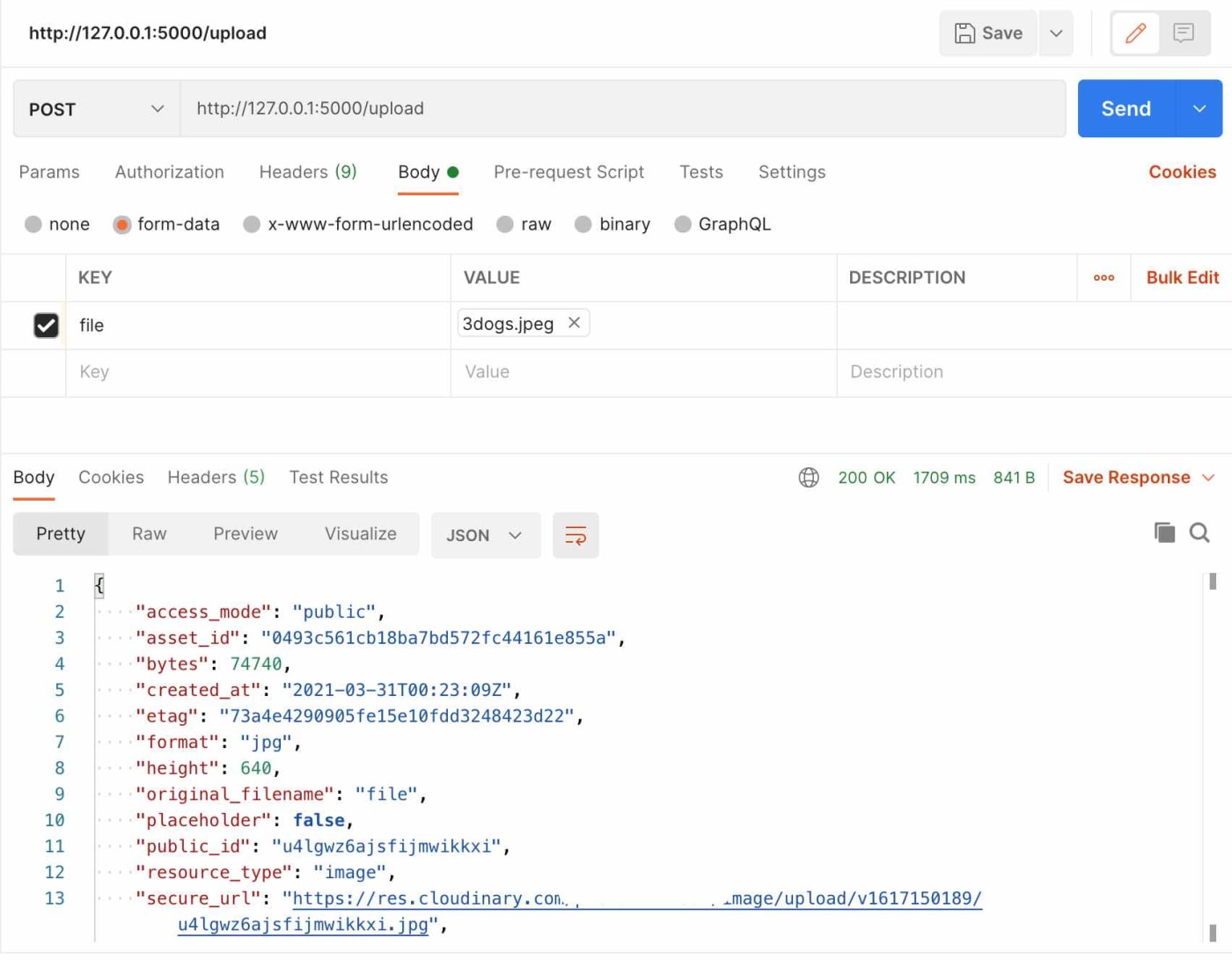 Localhost with Postman