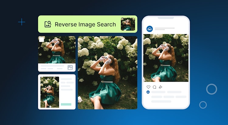 Reverse Image Search 101: What It Is, When to Use It, and the Best ...