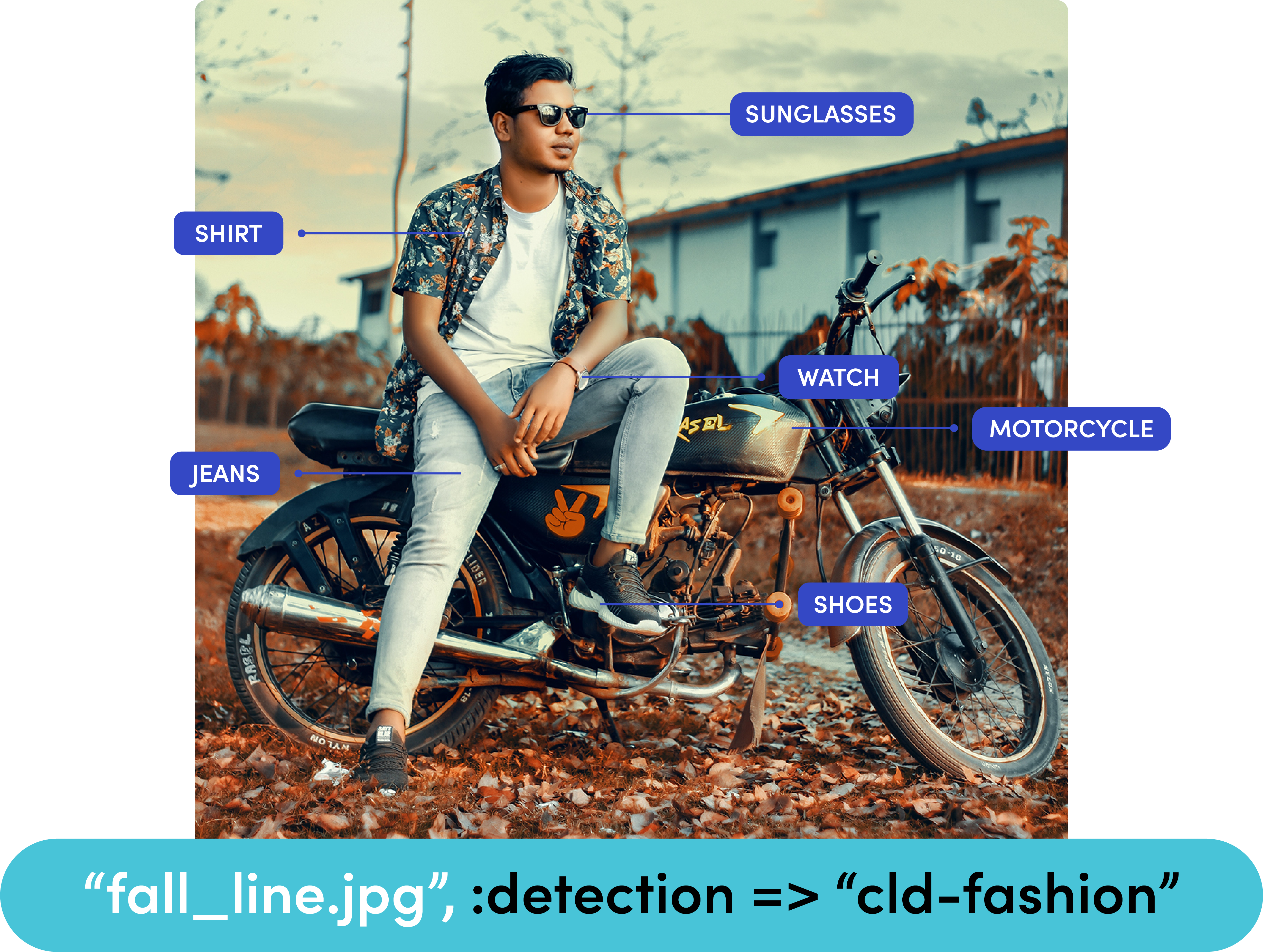 Object Detection