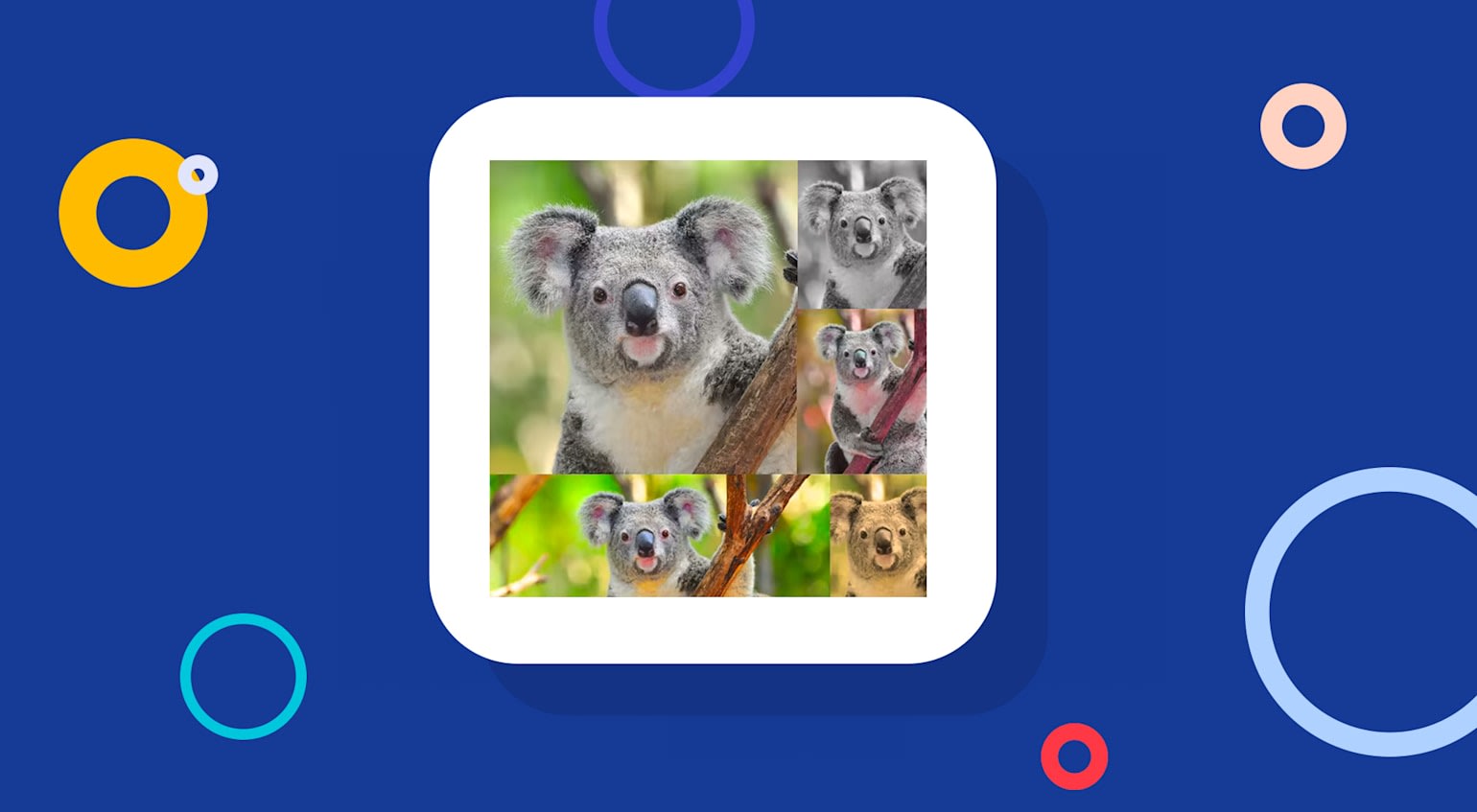Similar Images pHash Image Similarity | Automatically Identify Similar Images Using pHash