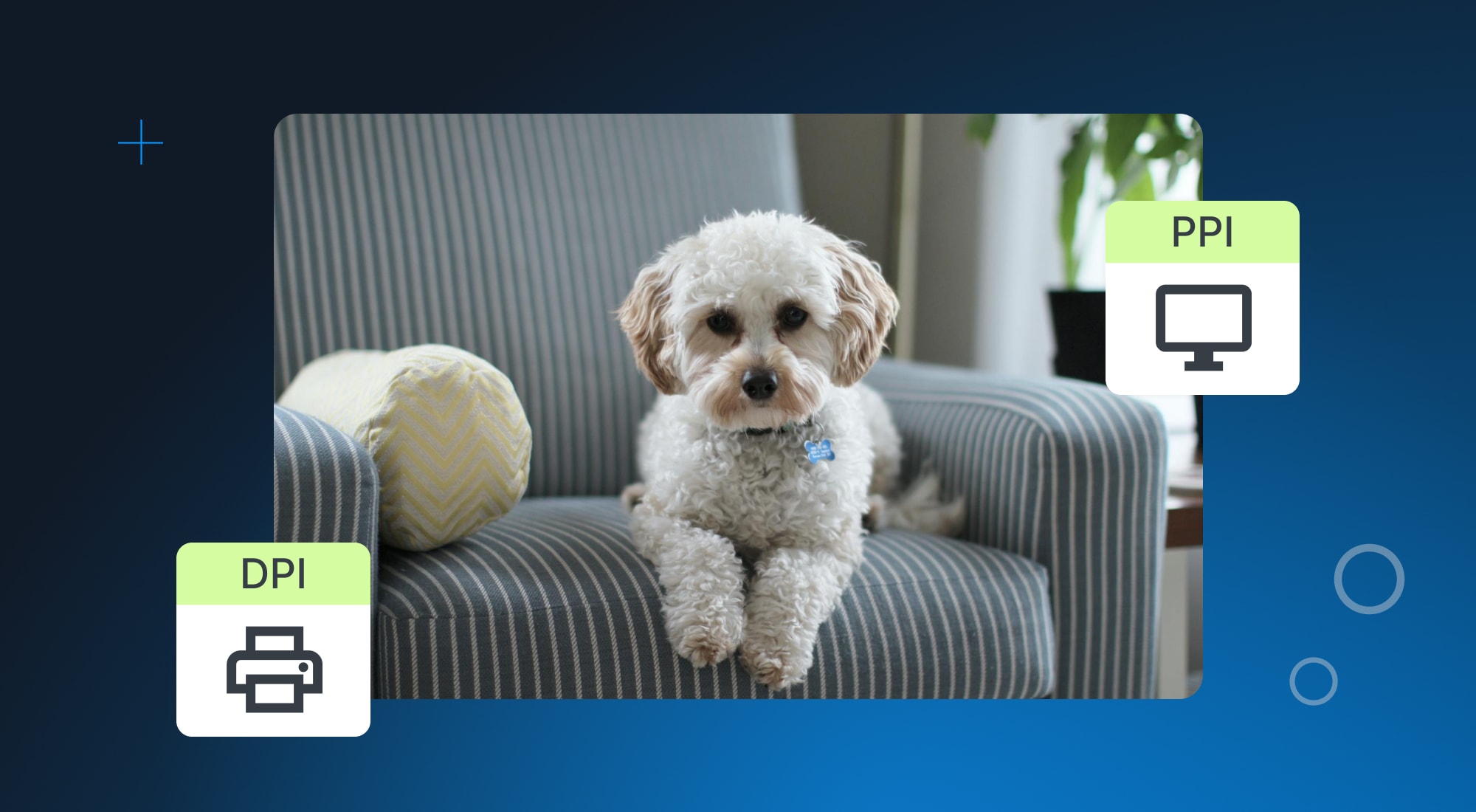 DPI vs. PPI: What’s the Difference and Why It Matters