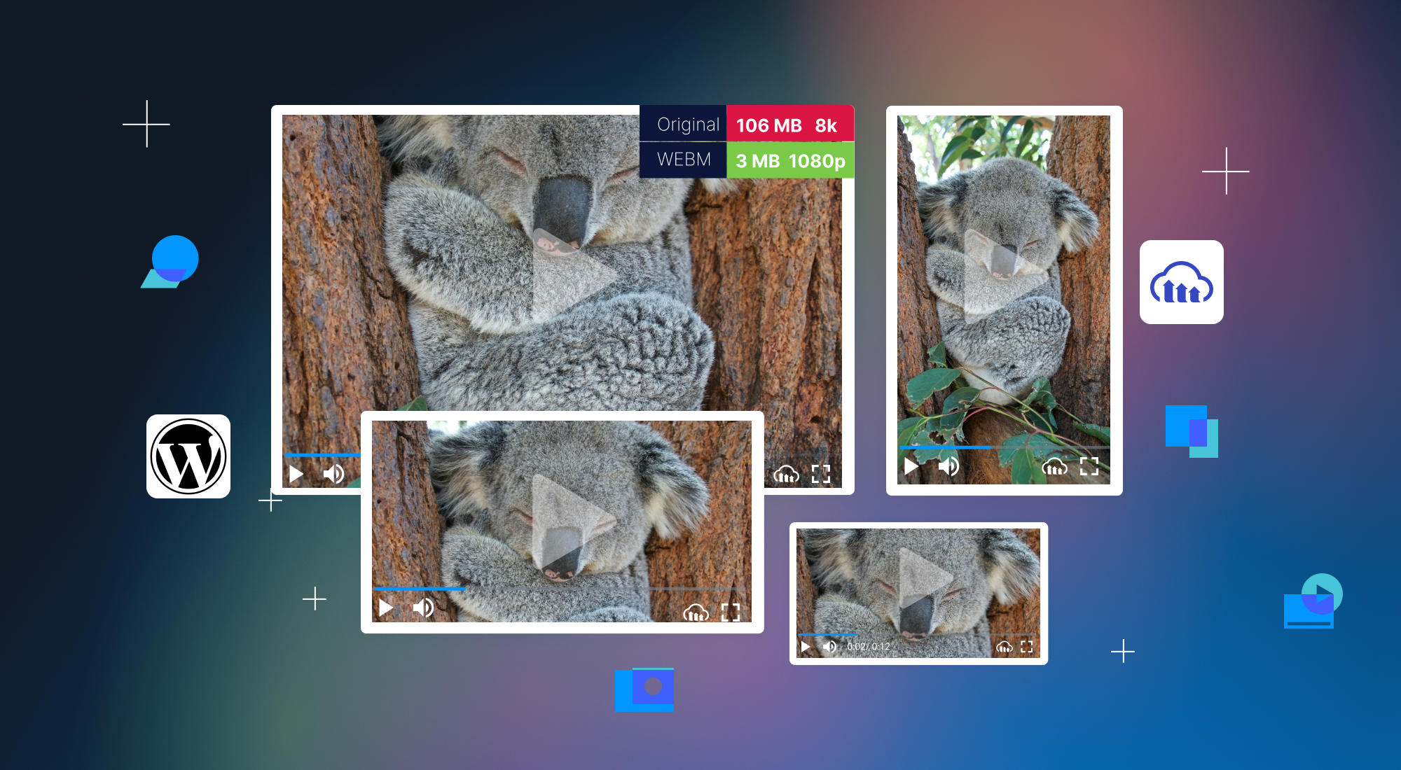 Optimize Your Images and Videos On WordPress