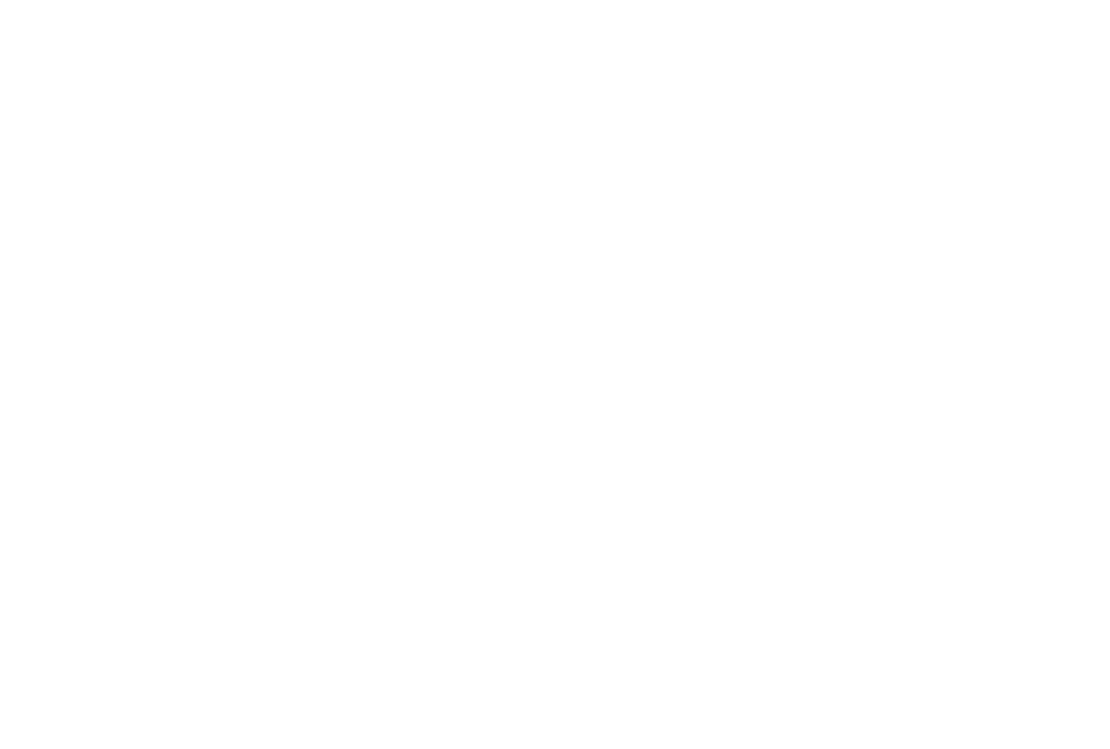 ele_customer_adidas_logo