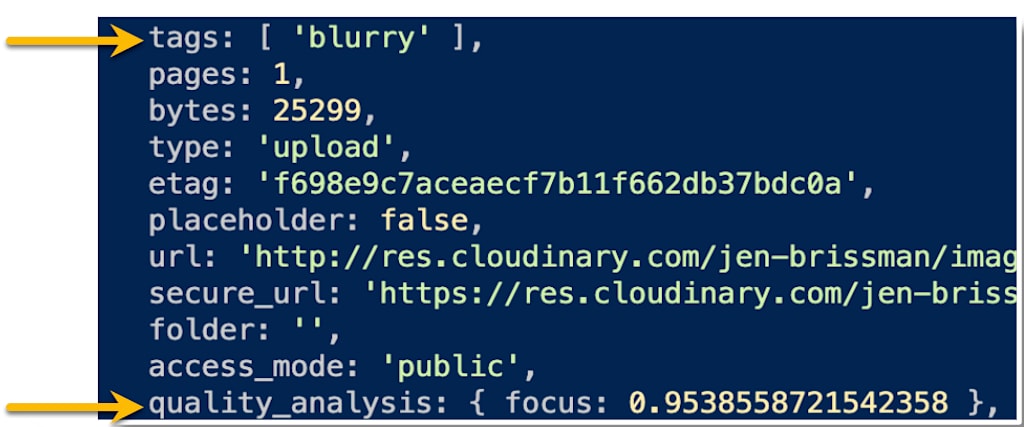 code assigned a blurry tag
