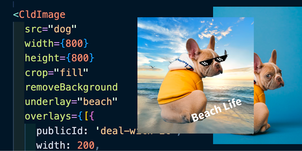 Dog with background removed, beach background, and text using CldImage component