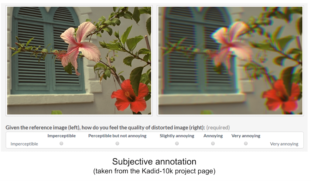 subjective annotation