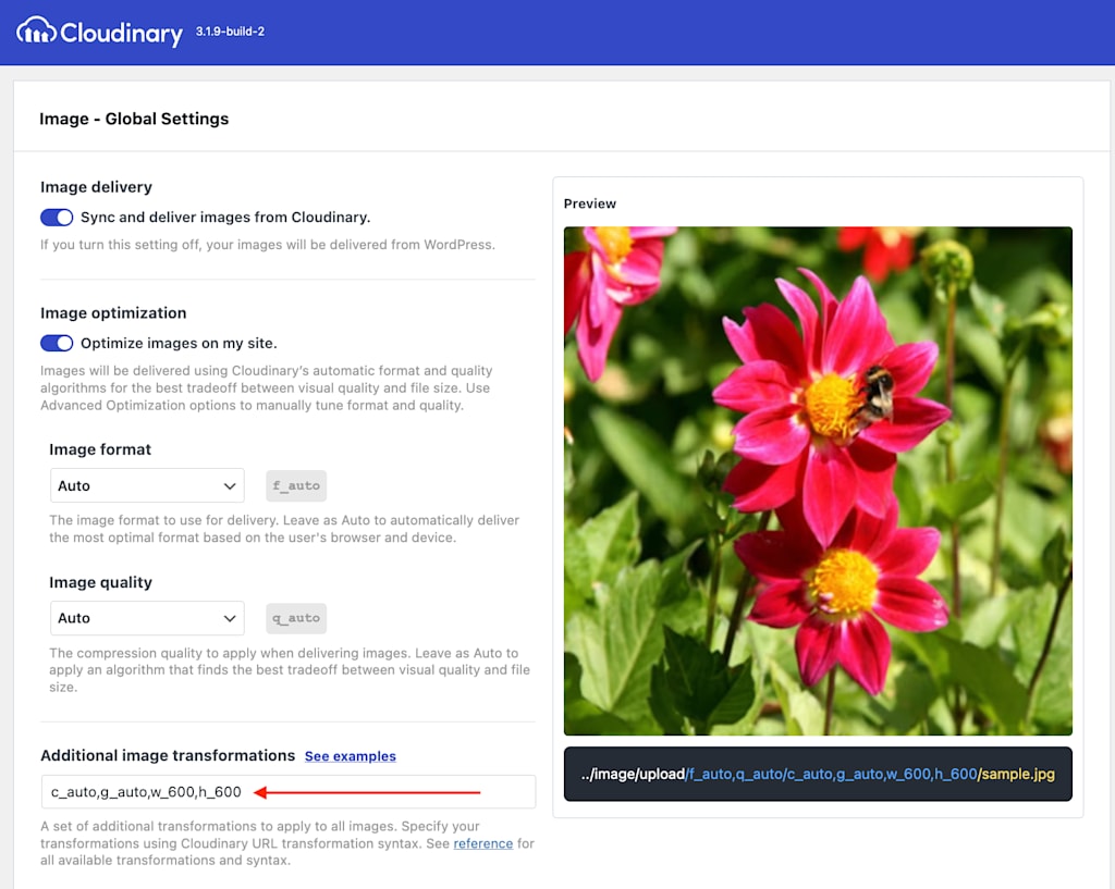 What are the Main Features of the Cloudinary Wordpress Plugin - Web ...