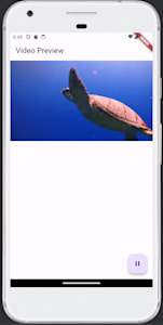 flutter video preview