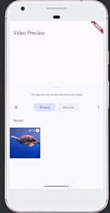 flutter video preview