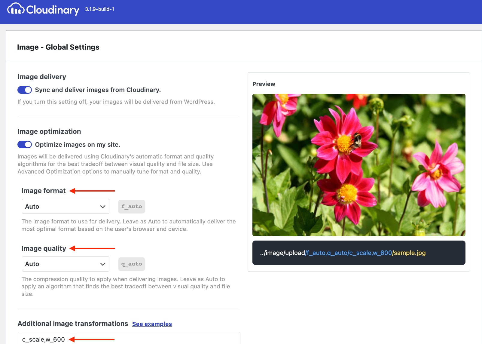 Enhance your images and videos on WordPress