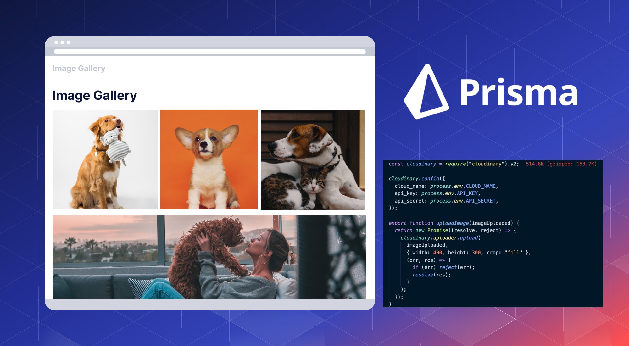 Upload and Display Images Using Prisma