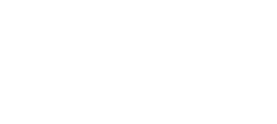 wpvip_logo.png