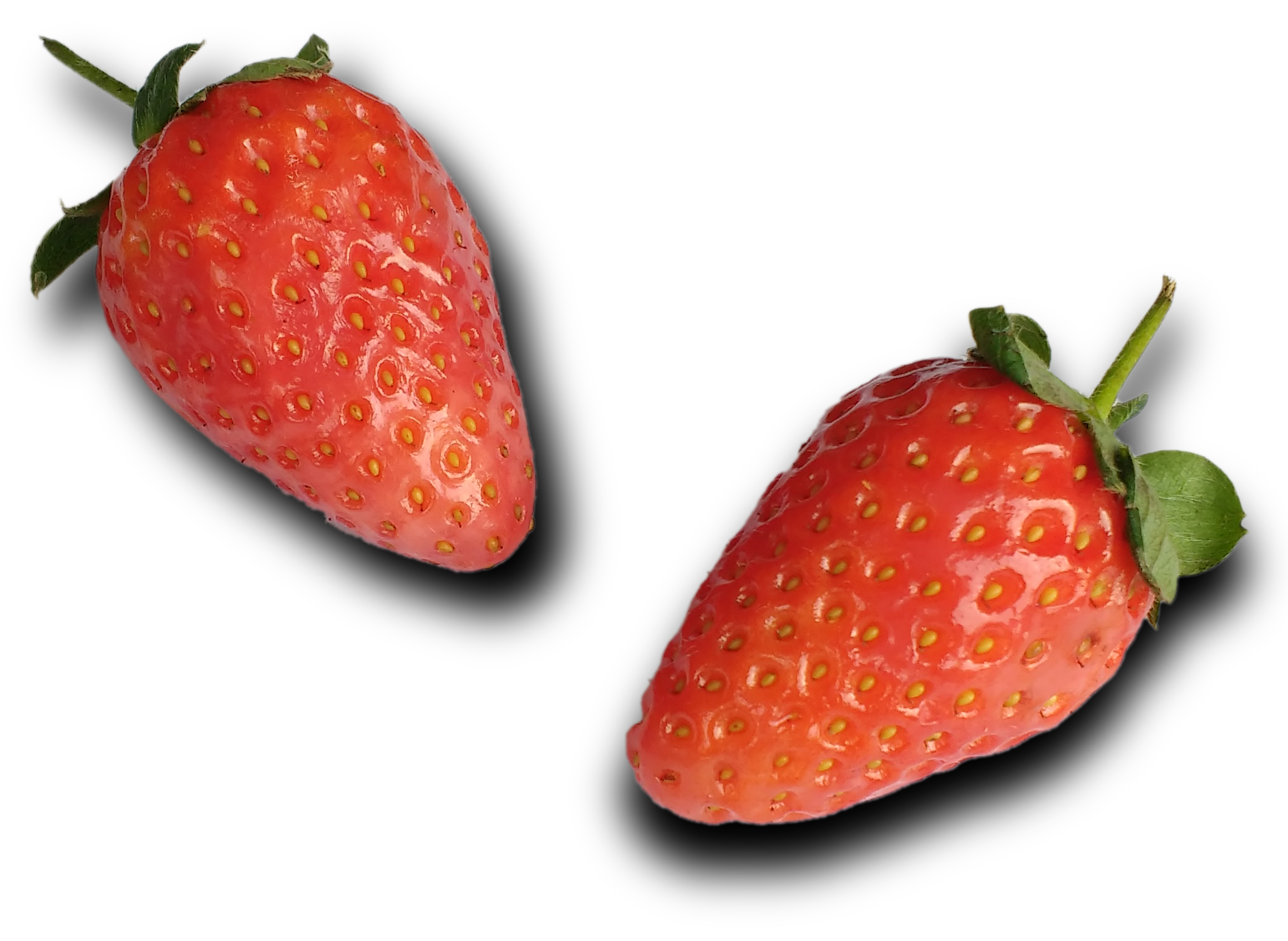 strawberries: 5 layers
