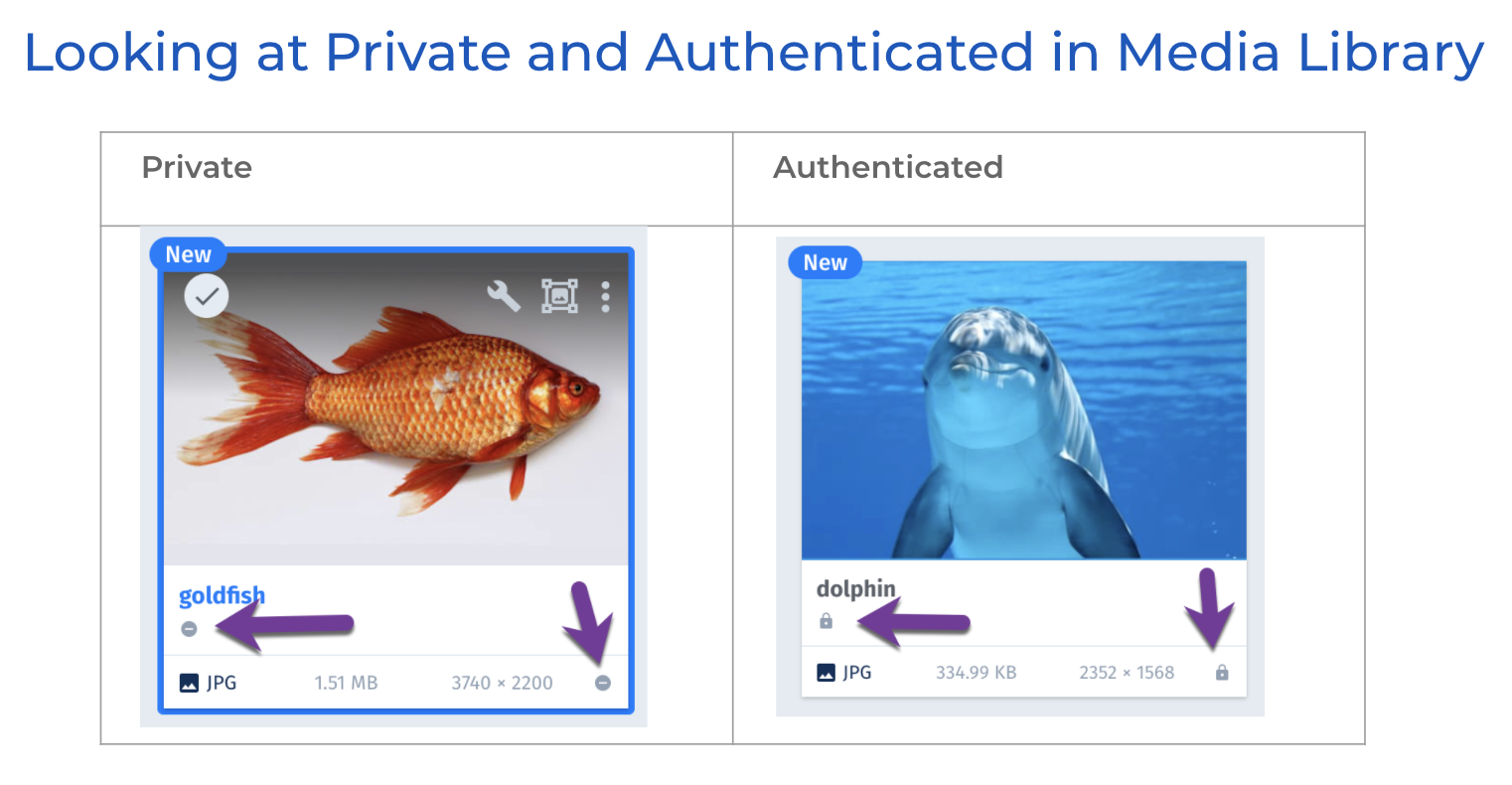 media library private vs auth