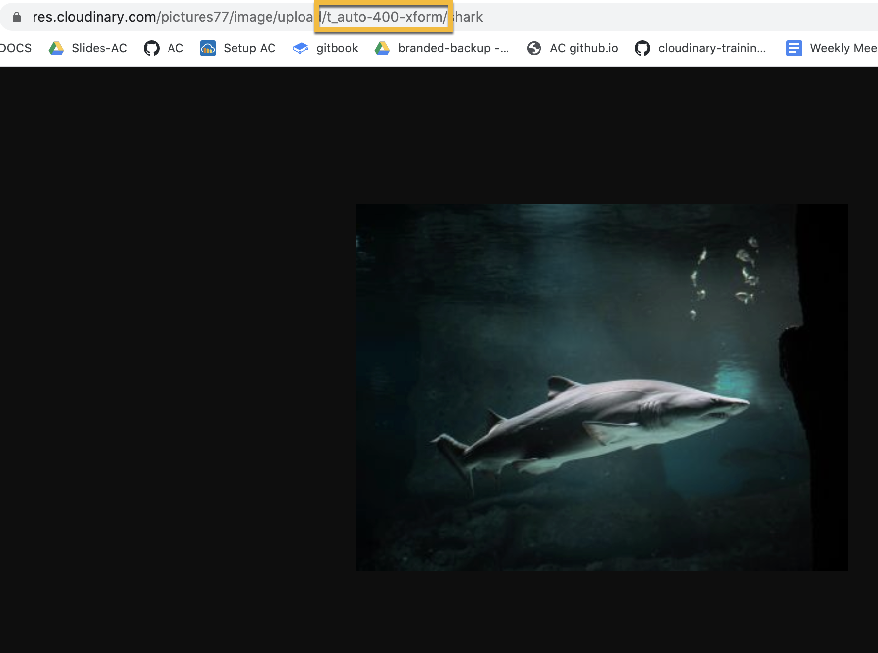 named transformation with pre-pended t_