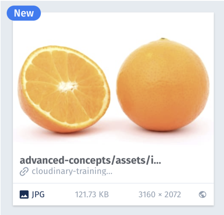 fetched asset in DAM