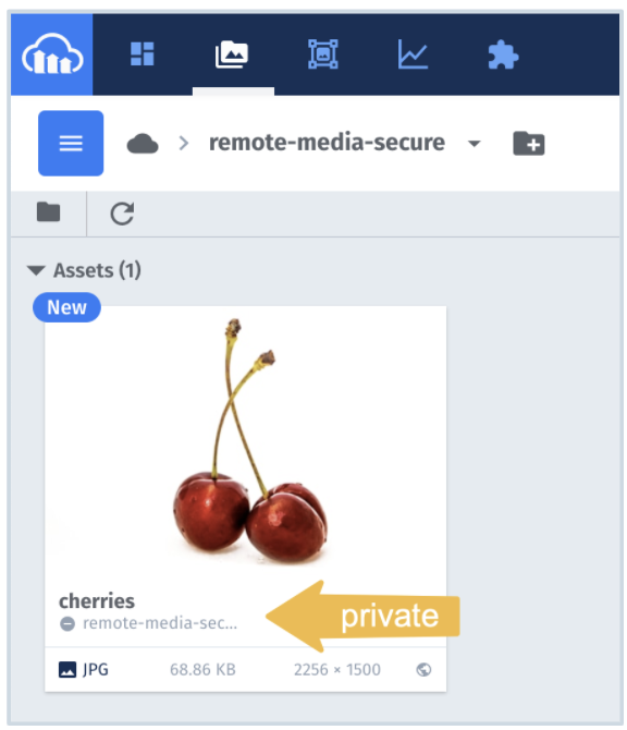 auto-upload private in DAM