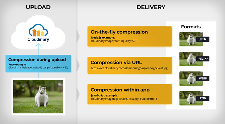 Automating the Compression of Image Files with One Line of Code