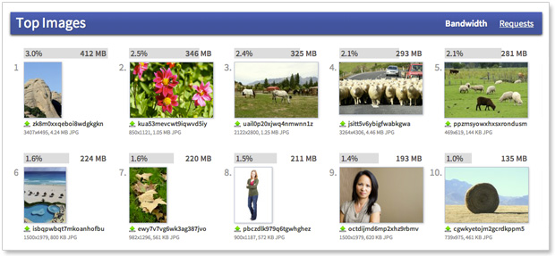 Insights - Top images by bandwidth