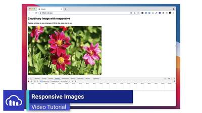 free software to resize images to wallet size