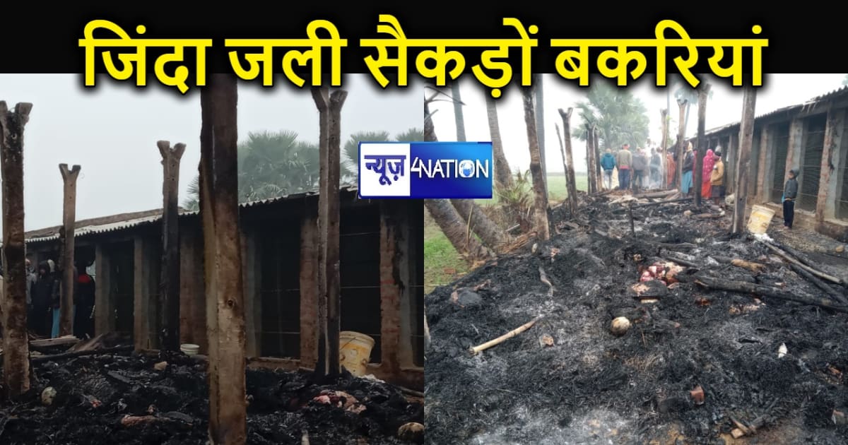 पटना में हैवान बने अपराधी, रात के अंधेरे में बकरी फार्म में 