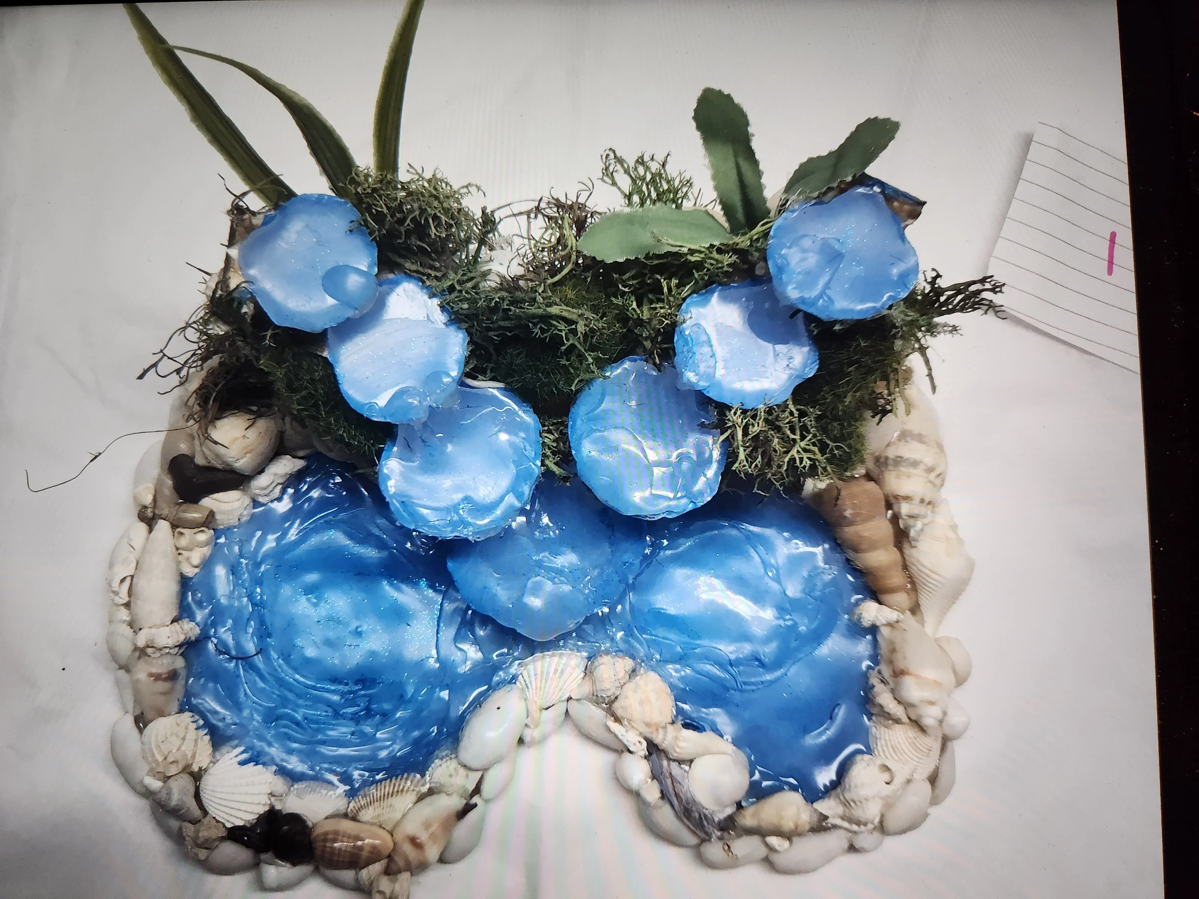 Seashell waterfall #1