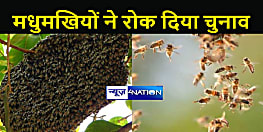 चुनावी सुरक्षा में मधुमक्खियों की सेंधमारी, मधुमक्खियों के हमले से दर्जनों लोग हुए घायल, रोका गया मतदान
