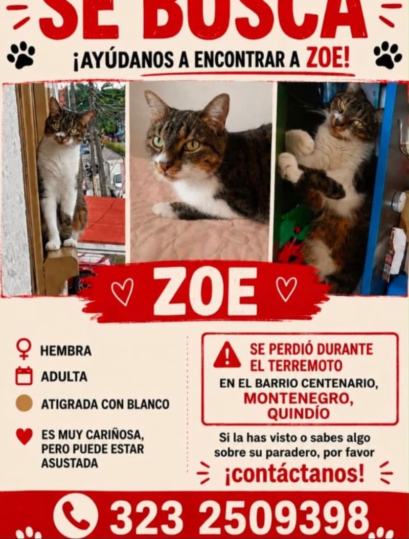 Foto de ZOE, reportado como buscado