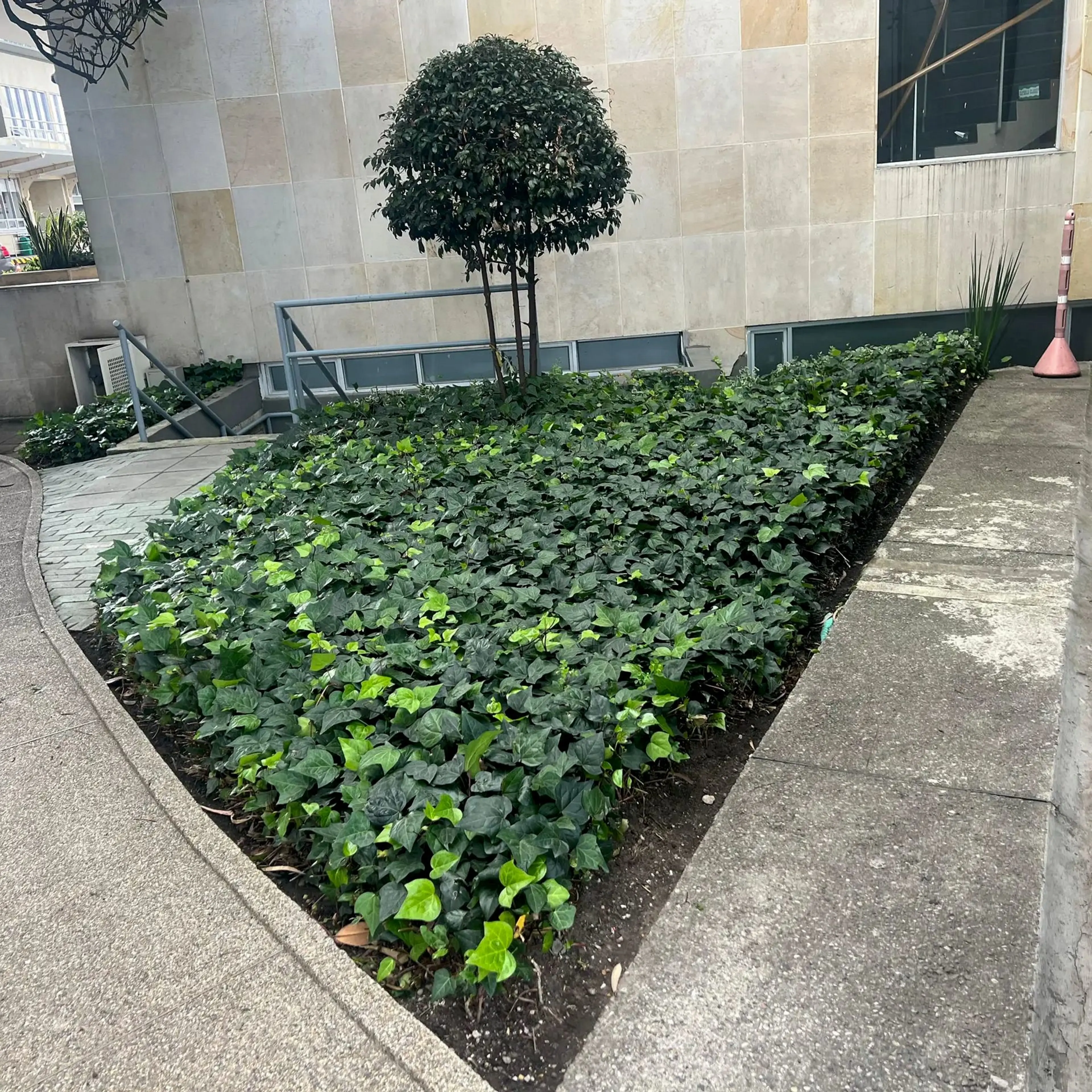 Proyectos jardinería y paisajismo