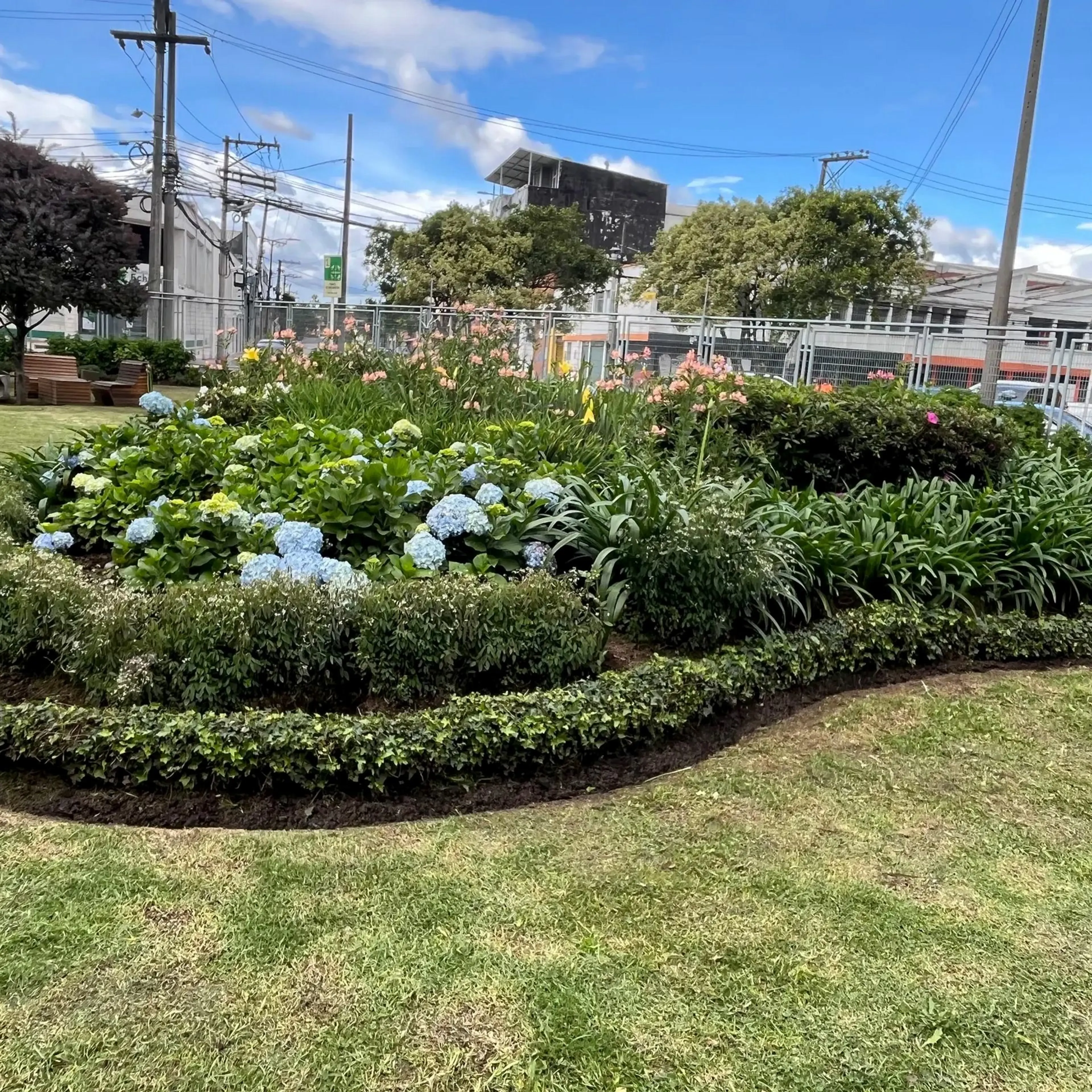 Proyectos jardinería y paisajismo
