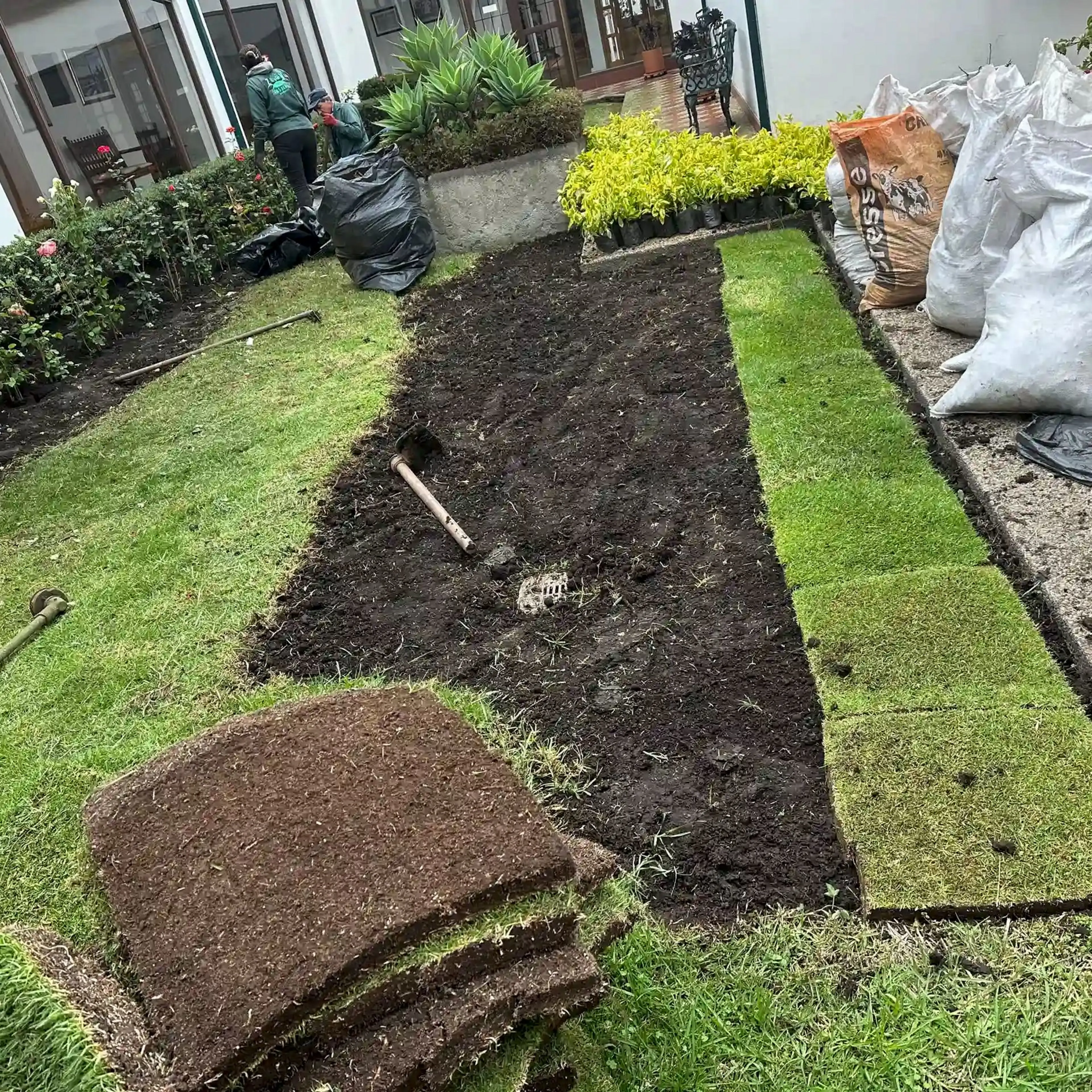 Proyectos jardinería y paisajismo