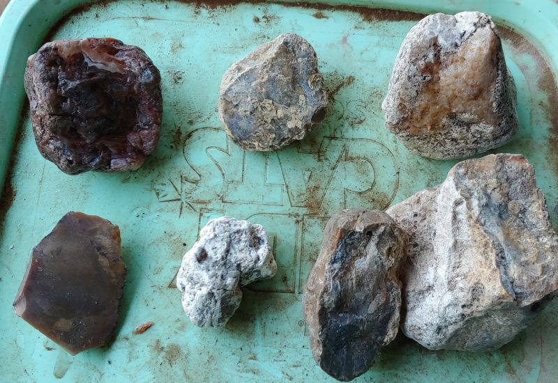 Rocks from my walk across Texas | Rock Tumbling Hobby