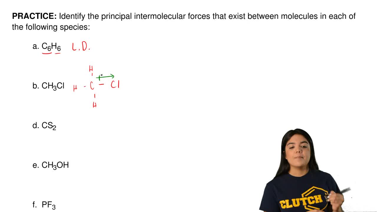 Identify The Principal Intermolecular Forces That Exi