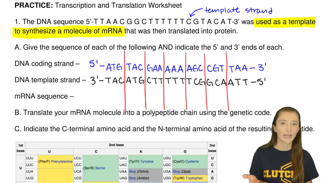 how to transcribe dna to mrna