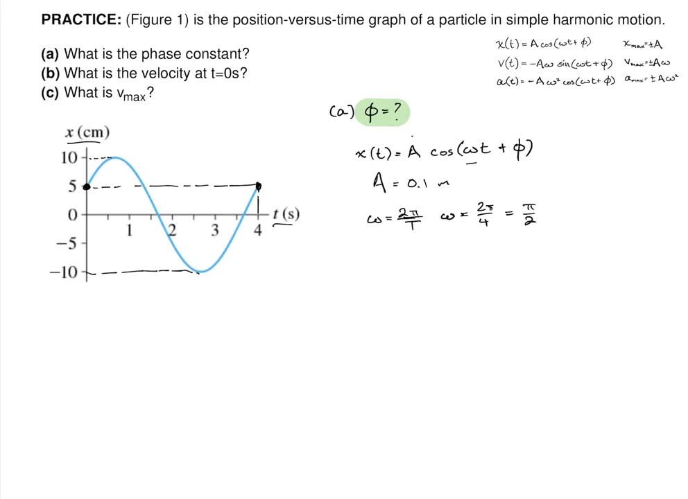 was the motion you observed in part c simple harmonic