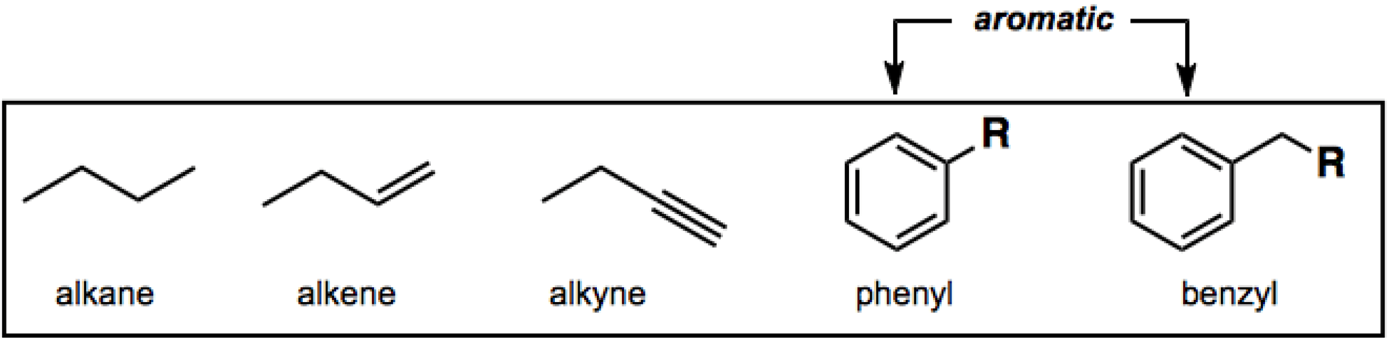 7 Functional Groups In Biology Chart