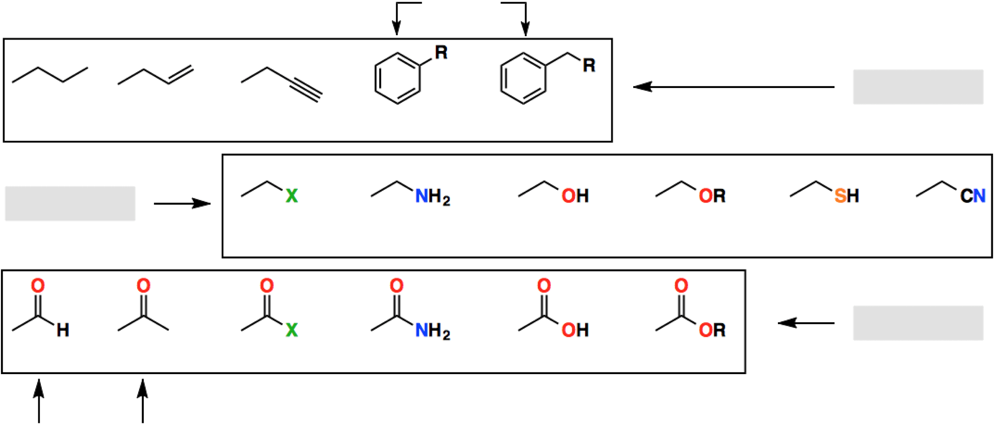 7 Functional Groups In Biology Chart