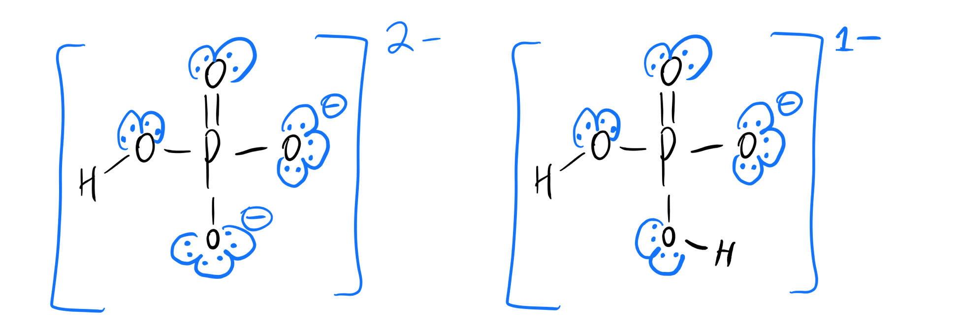 Draw the Lewis Structure for the Conjugate Acid of Ammonia En