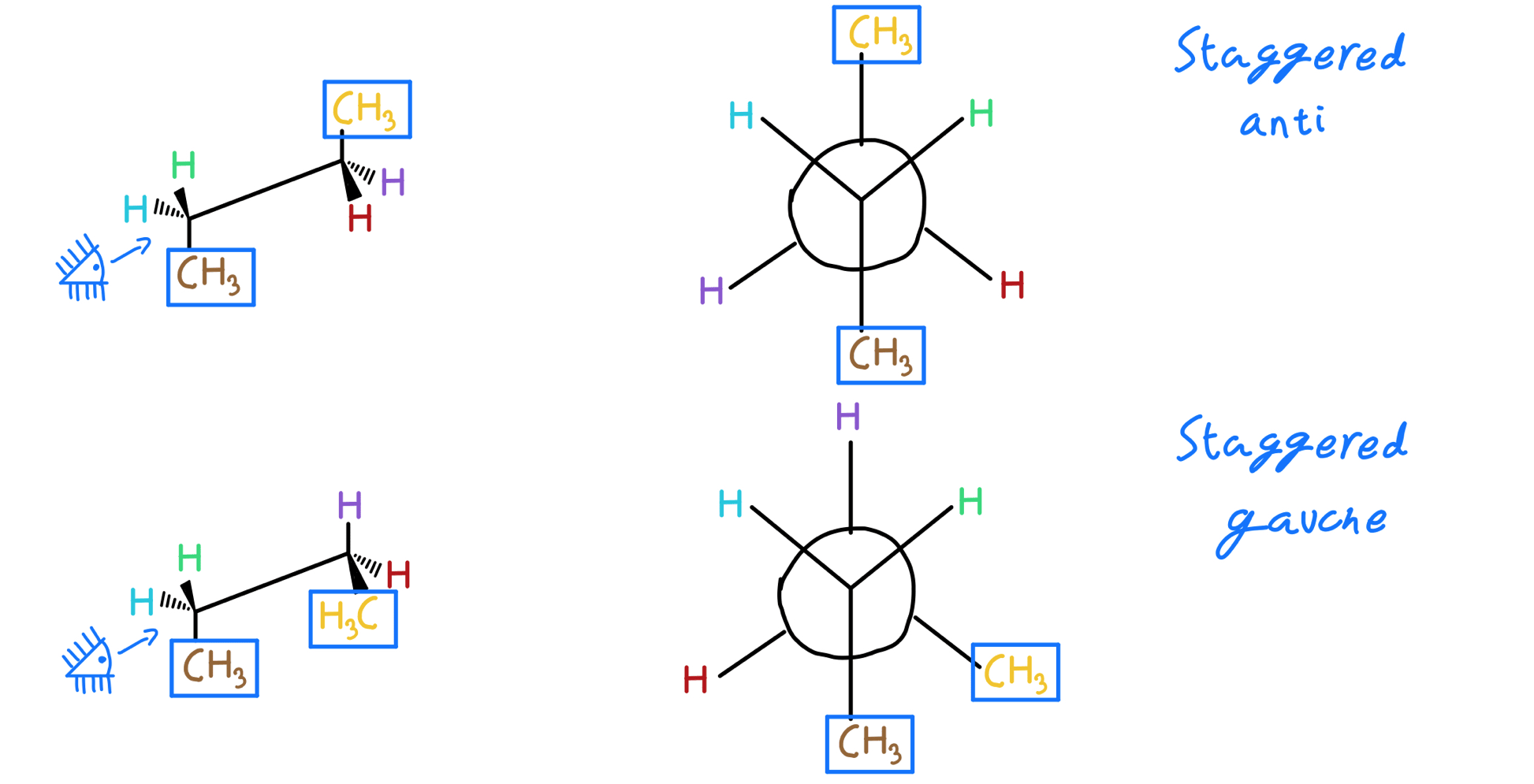 How To Draw Newman Projections From Bond Line