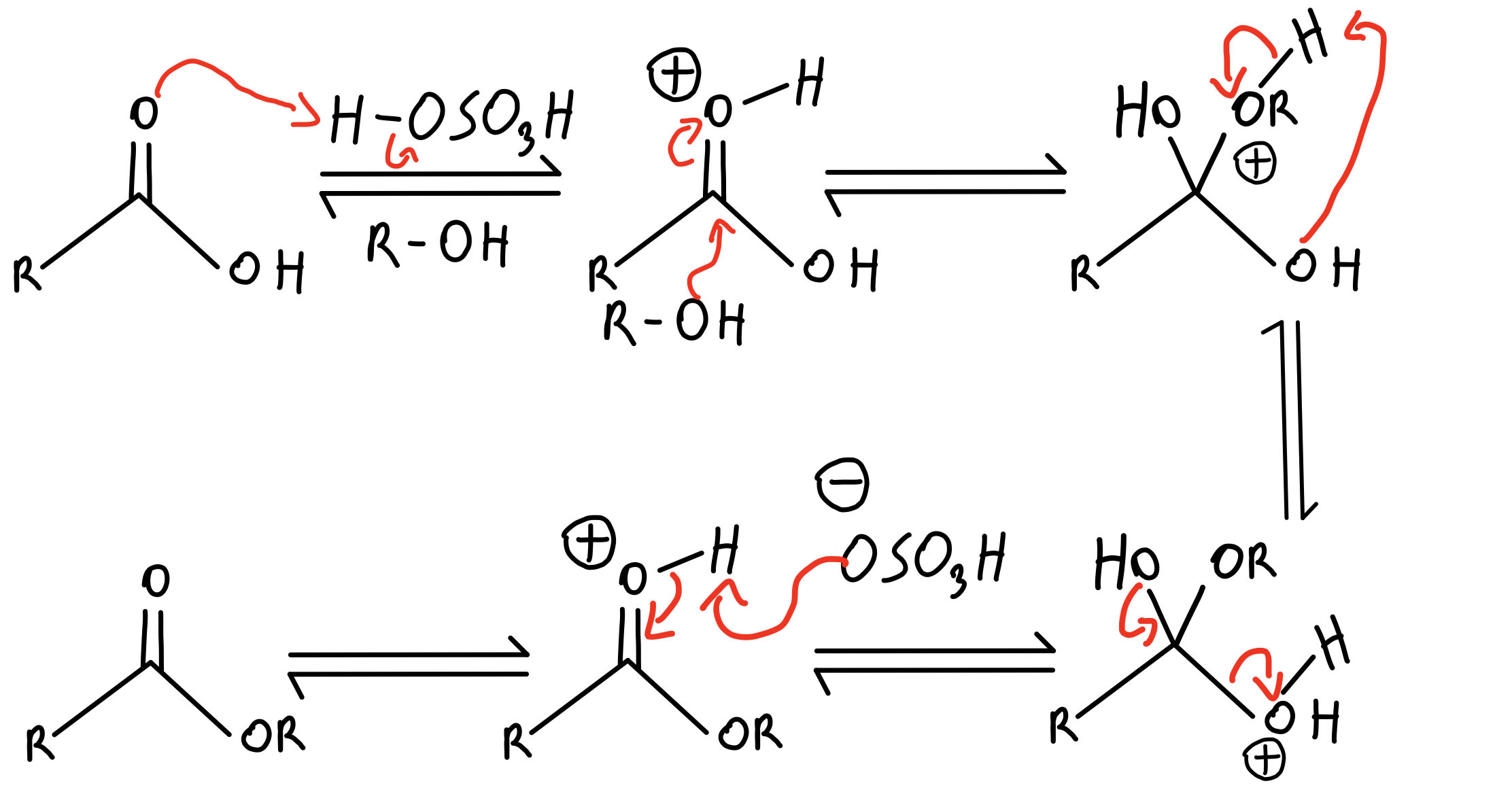 Ester Organic Chemistry Video Clutch Prep