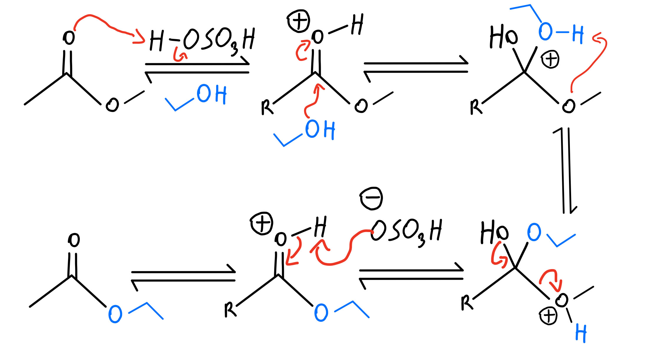 Esterification คือ อะไร