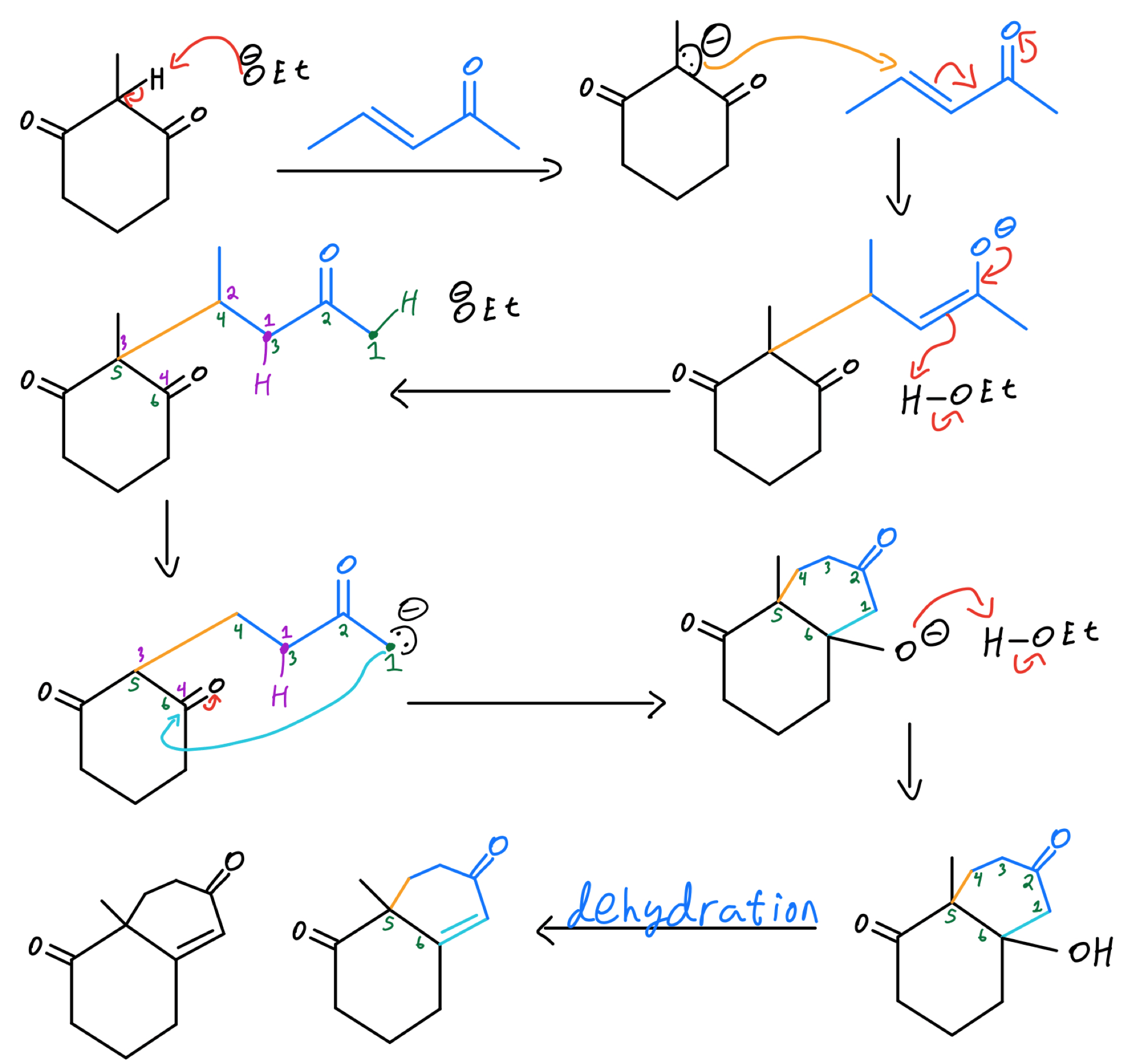 Robinson Annulation Organic Chemistry Video Clutch Prep