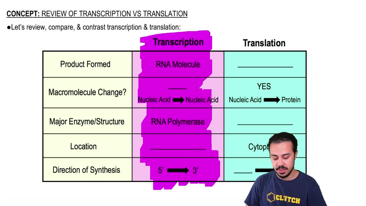 Transcription And Translation Practice Worksheet Biology Transcription Key Start Studying